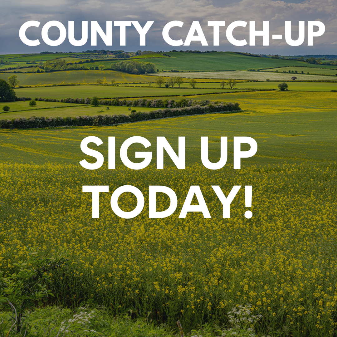 Sign up to our newsletter county catch-up