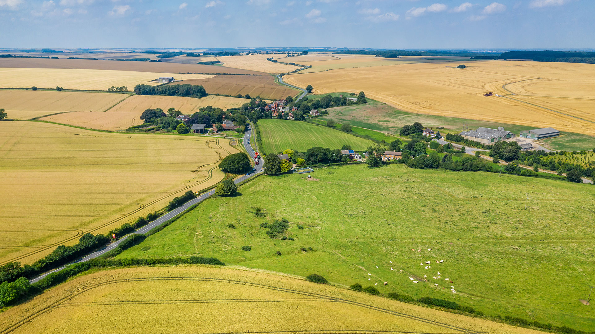 A drone shot of farmland