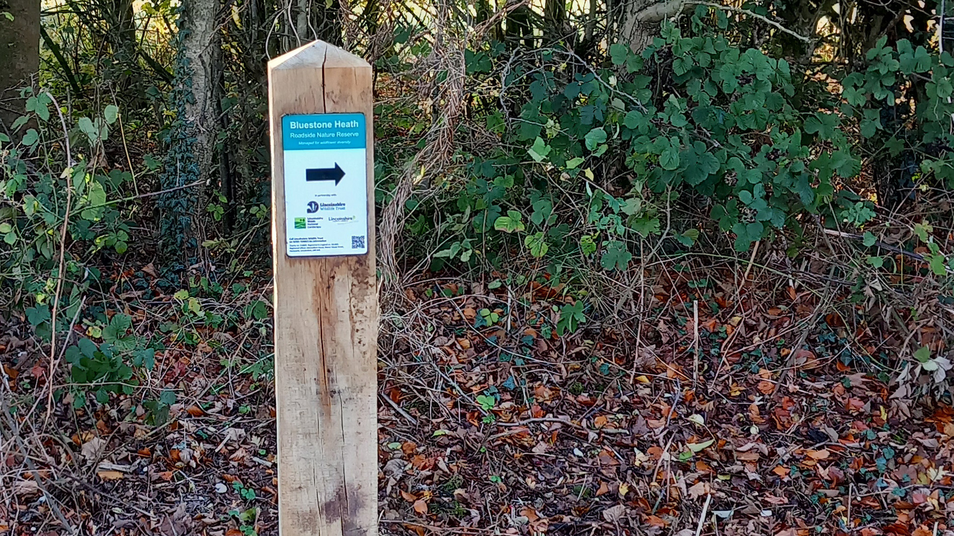 Oak post