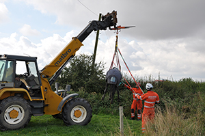 Image of Animal rescue
