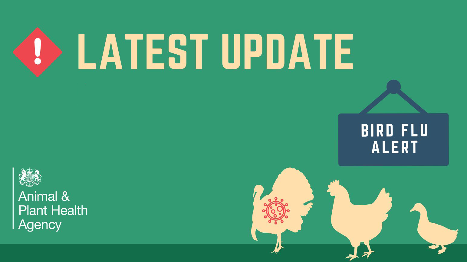 Latest updates on bird flu