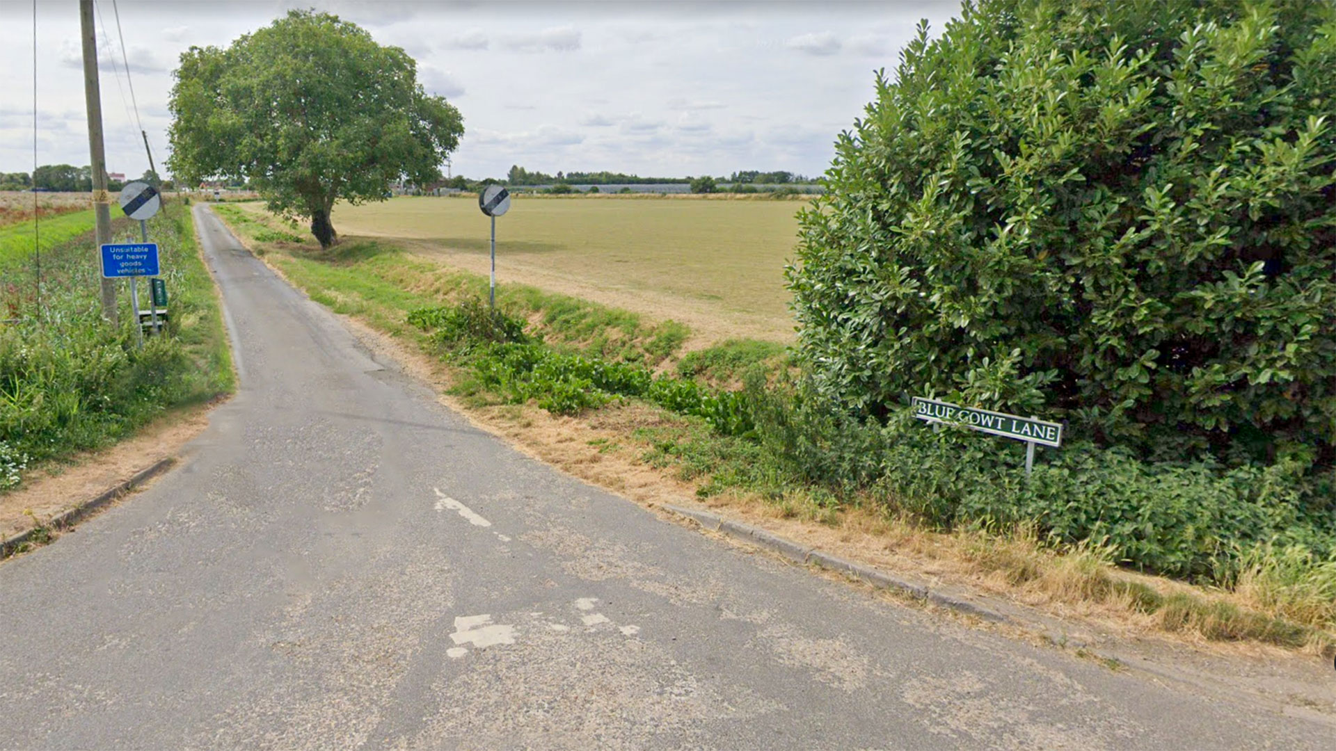 Blue Gowt Lane