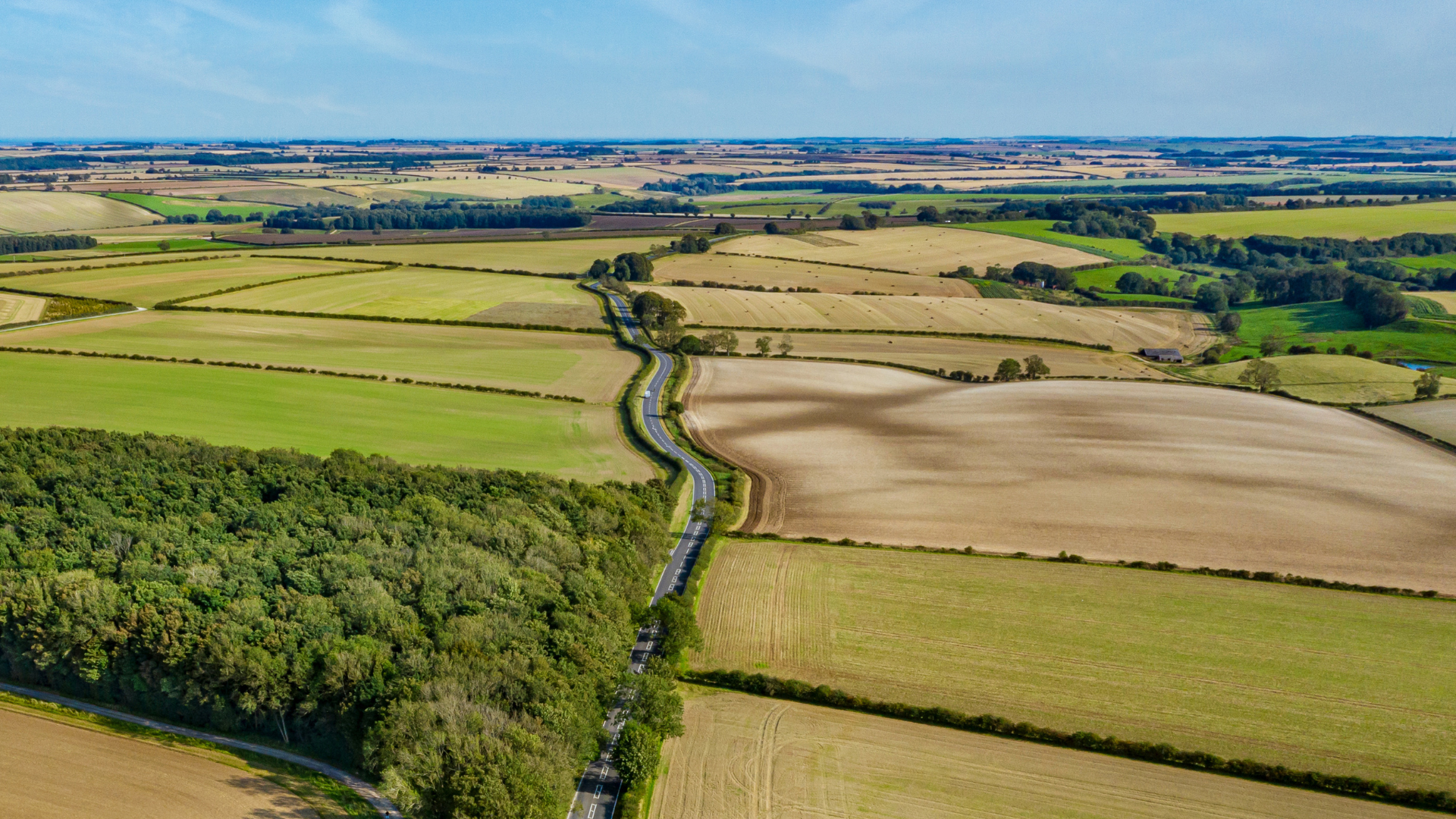 Lincolnshire landscape of fields and a rural road with blue skies