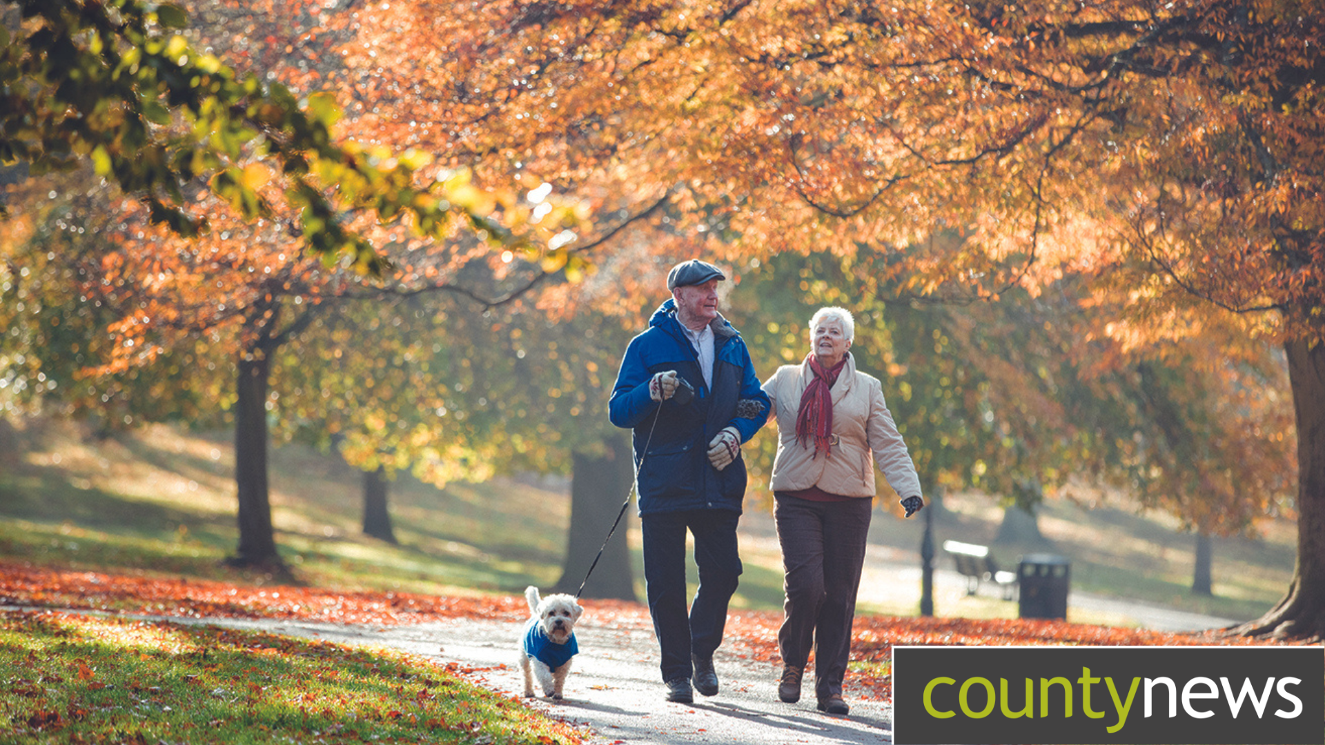An elderly man and woman walking their dog on a path through autumnal woodland