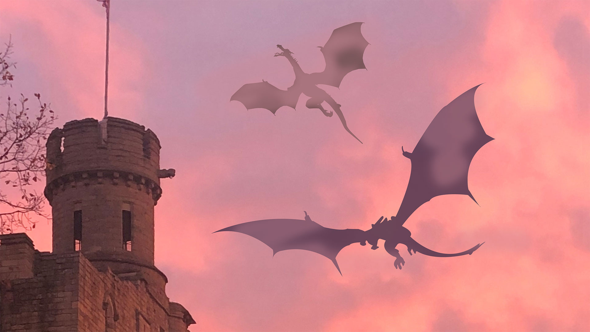 Dragons landing
