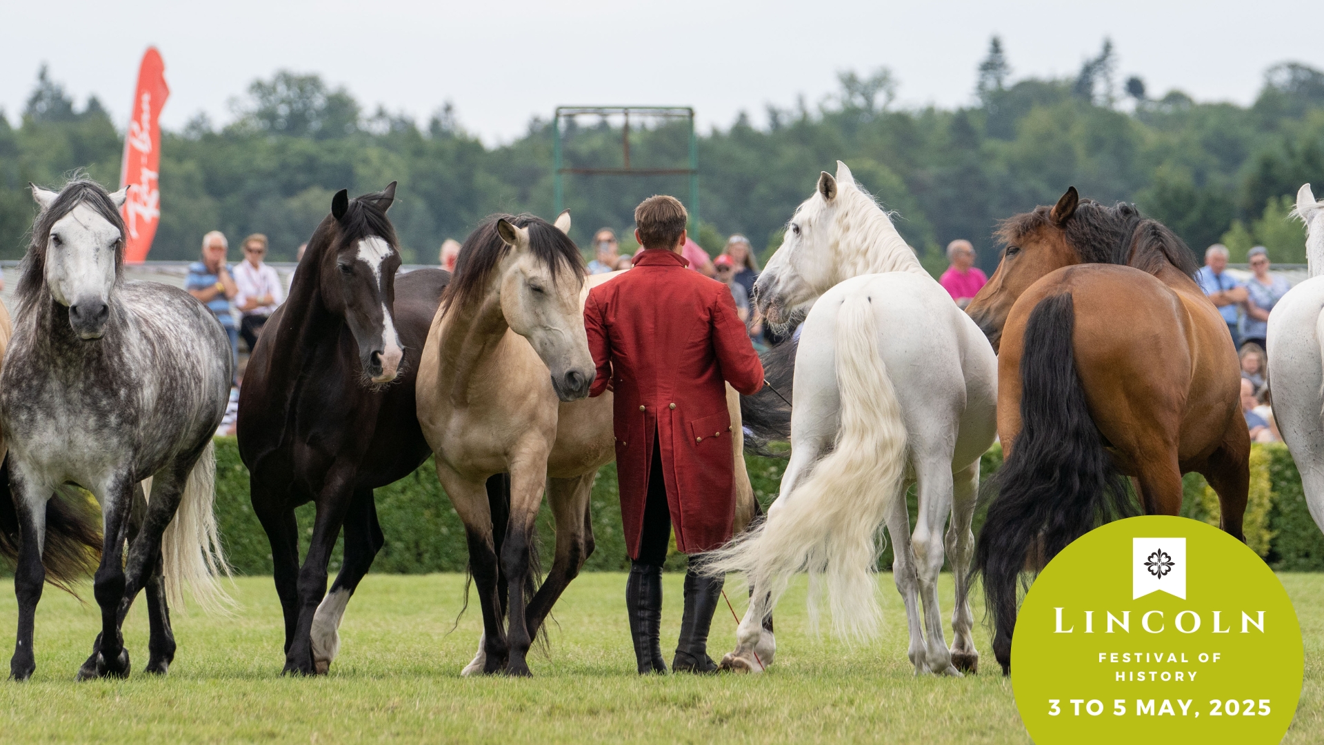Atkinson Action Horses