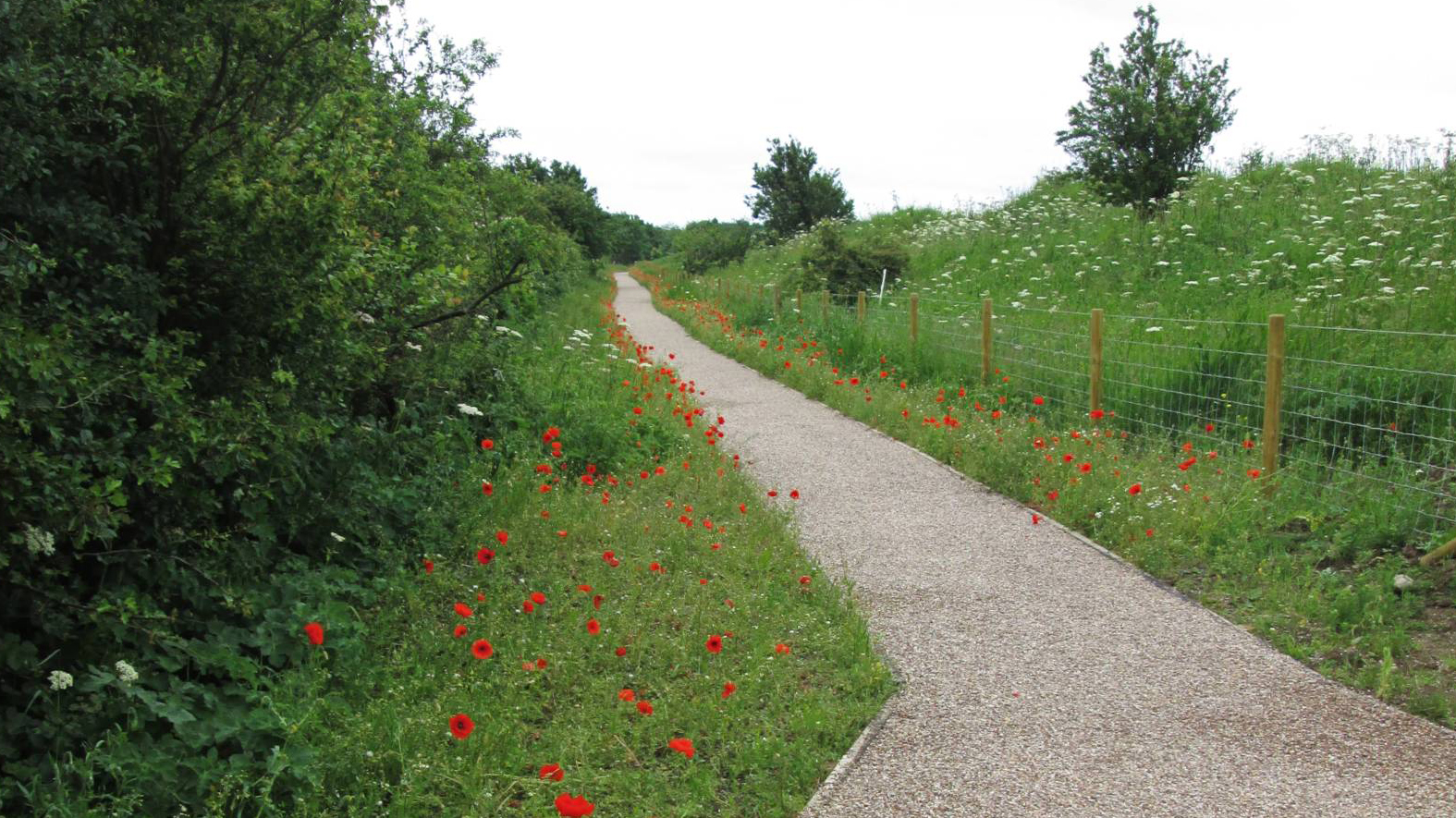 Gibraltar Path