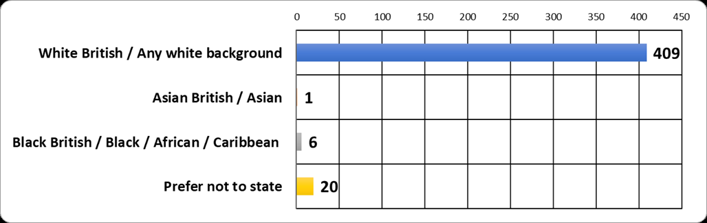 Graph displaying results - what is your ethnic background - Usher Gallery