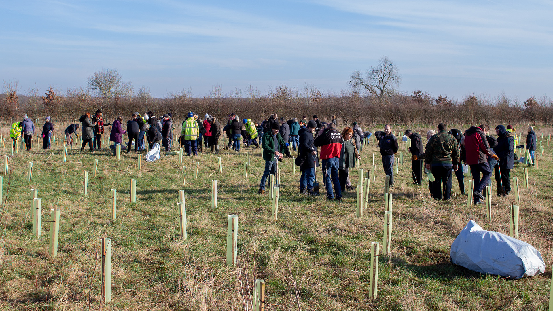 Green Masterplan Day Services