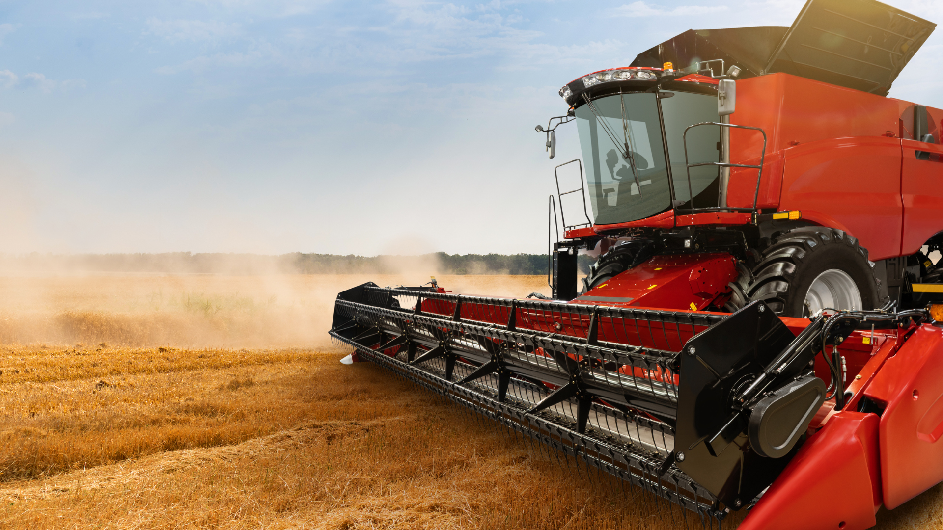 A combine harvesting a field