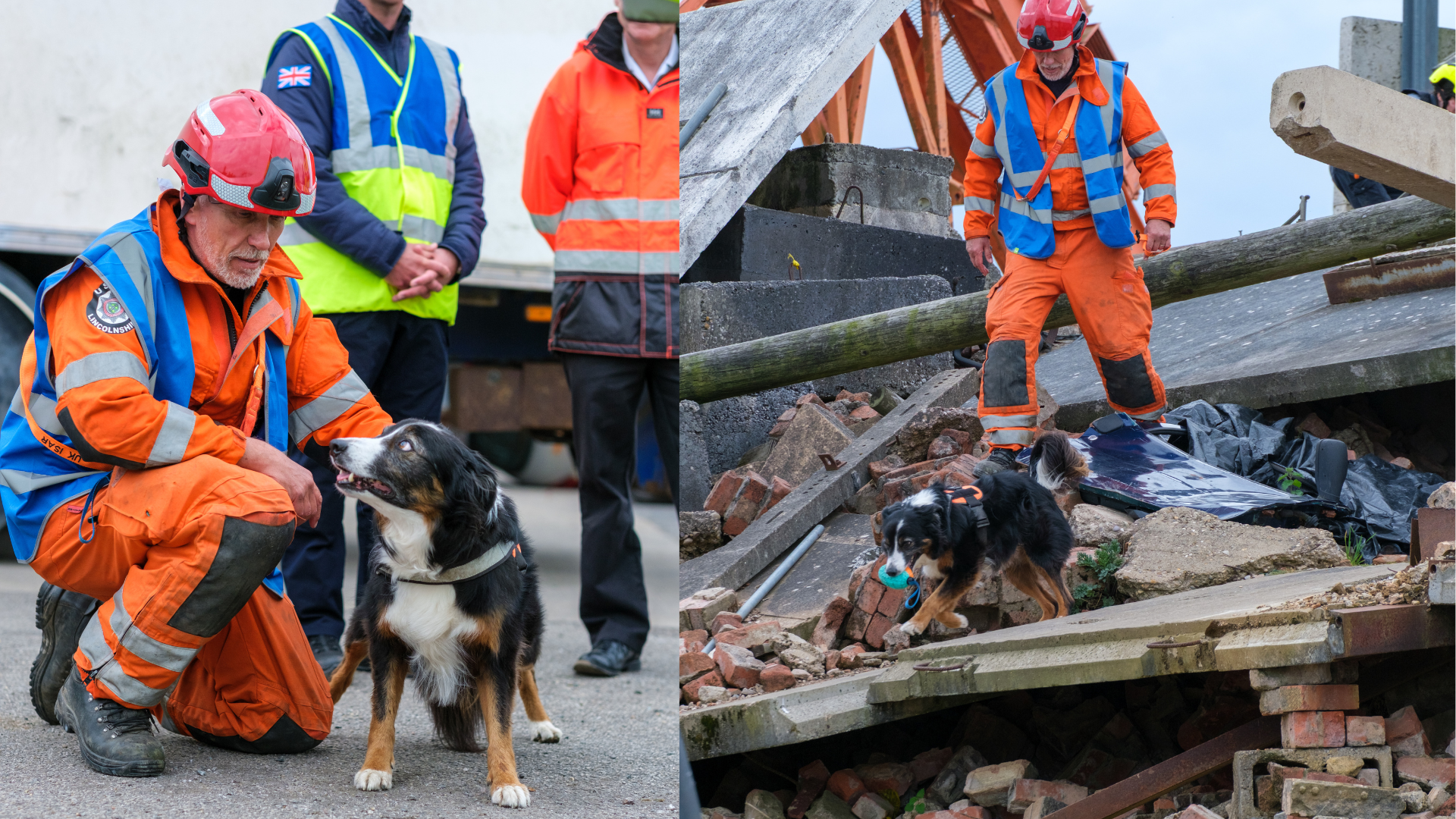 Search and rescue dog and handler