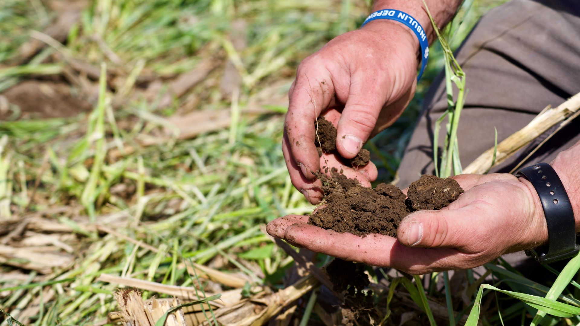 Hands examining clumps of soil in a field with crop residue.