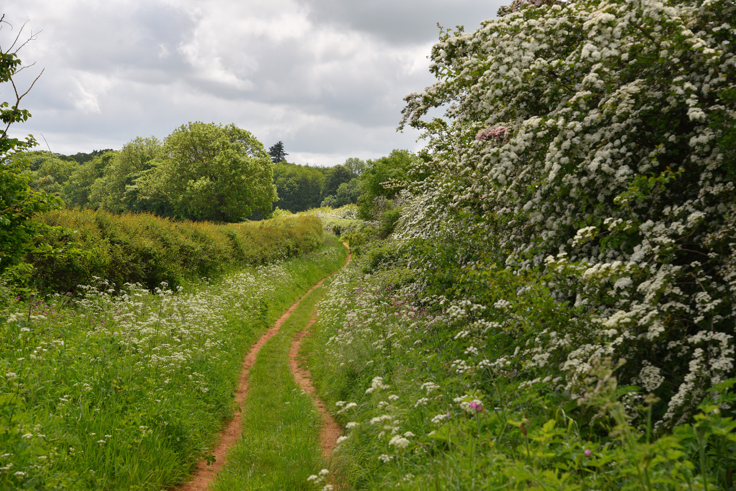 Longmoor lane nr woolsthorpe