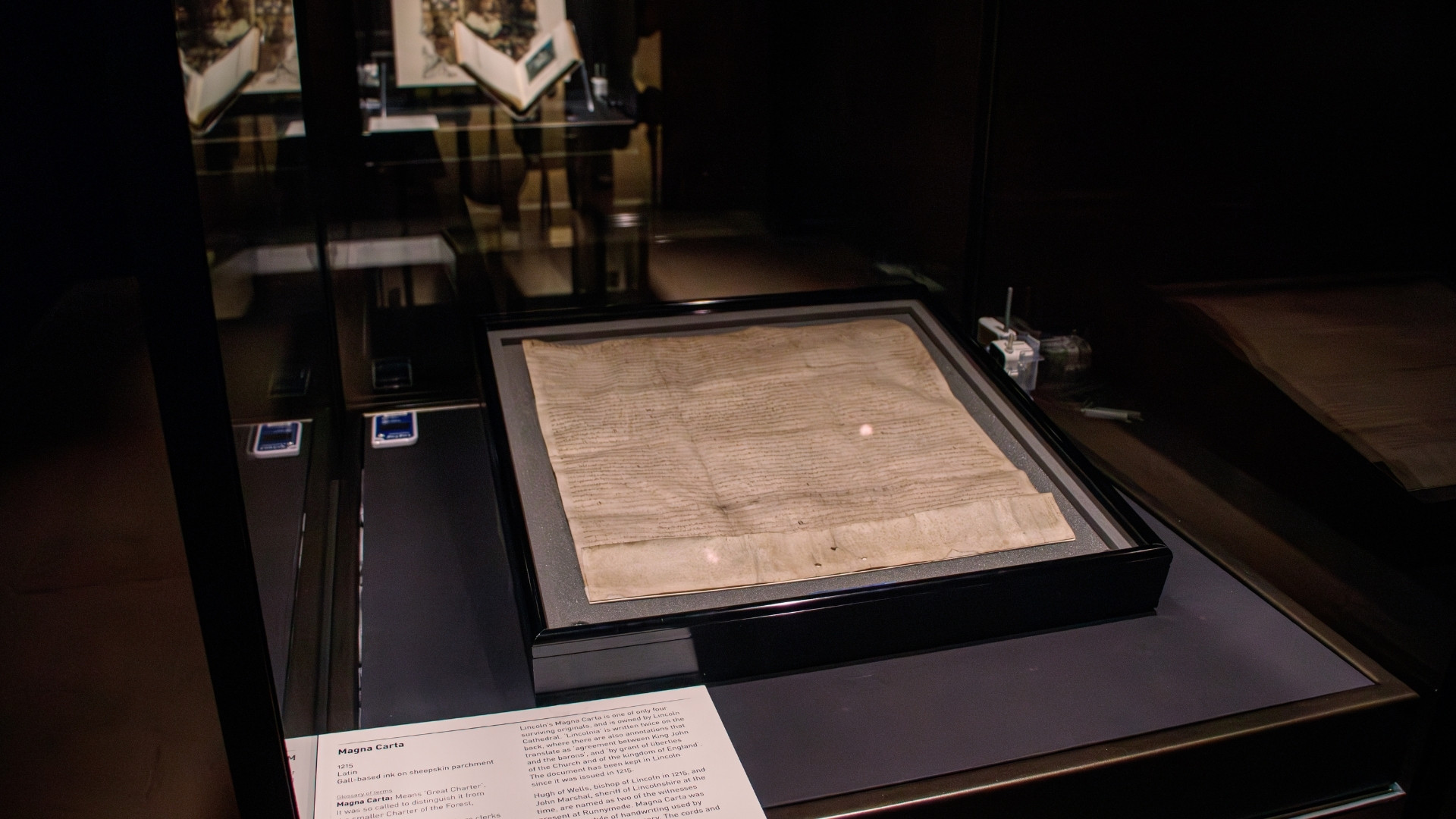 Magna Carta on display