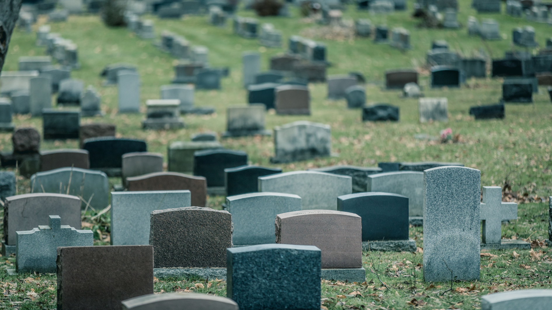 A row of headstones