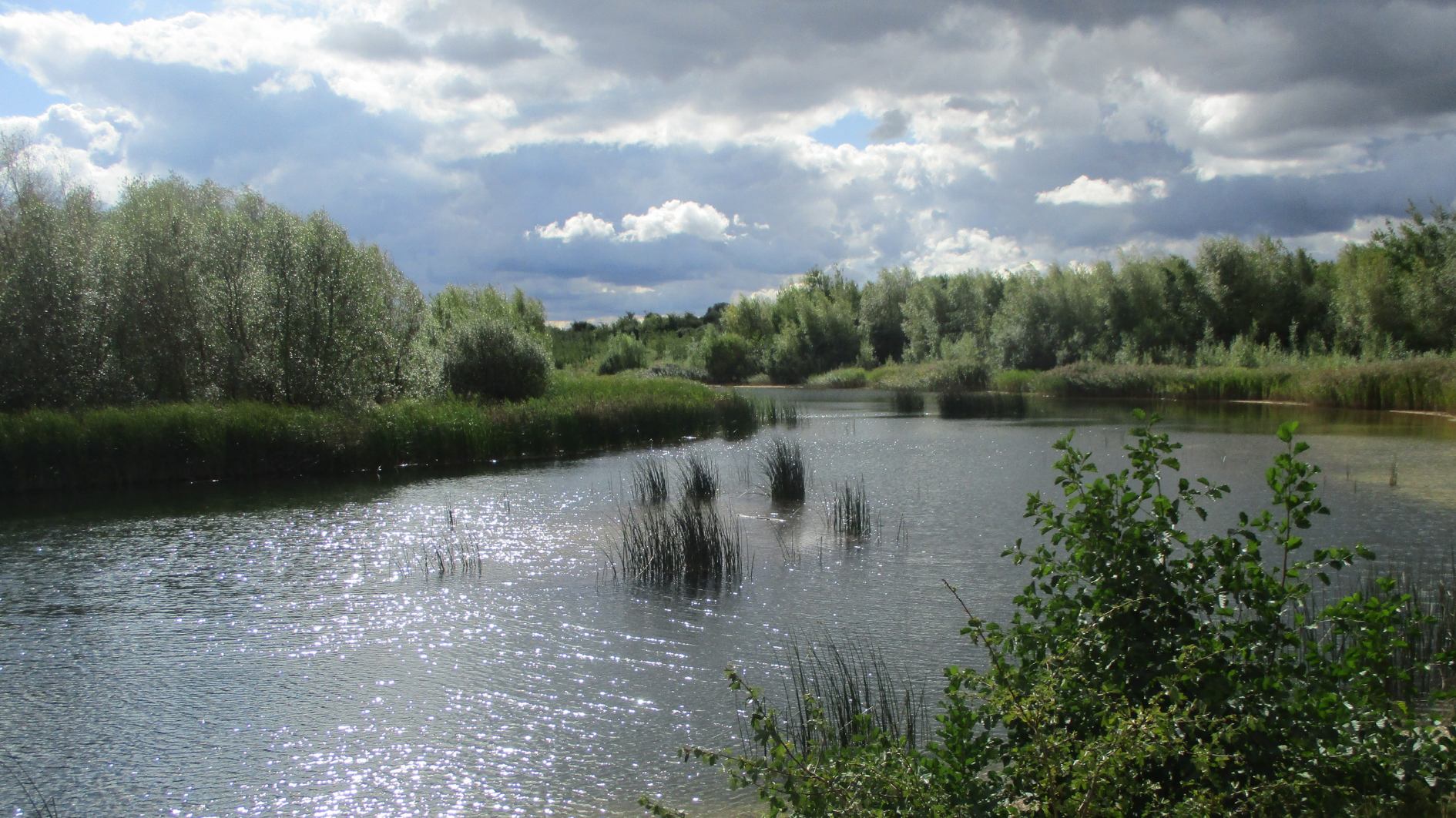 A picture of a river in Lincolnshire