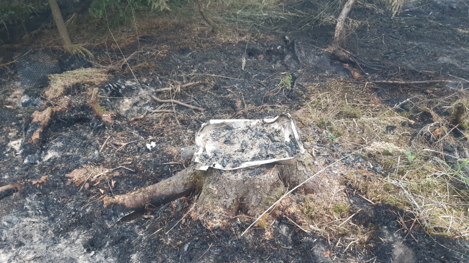 The scene of a fire caused by a disposable BBQ