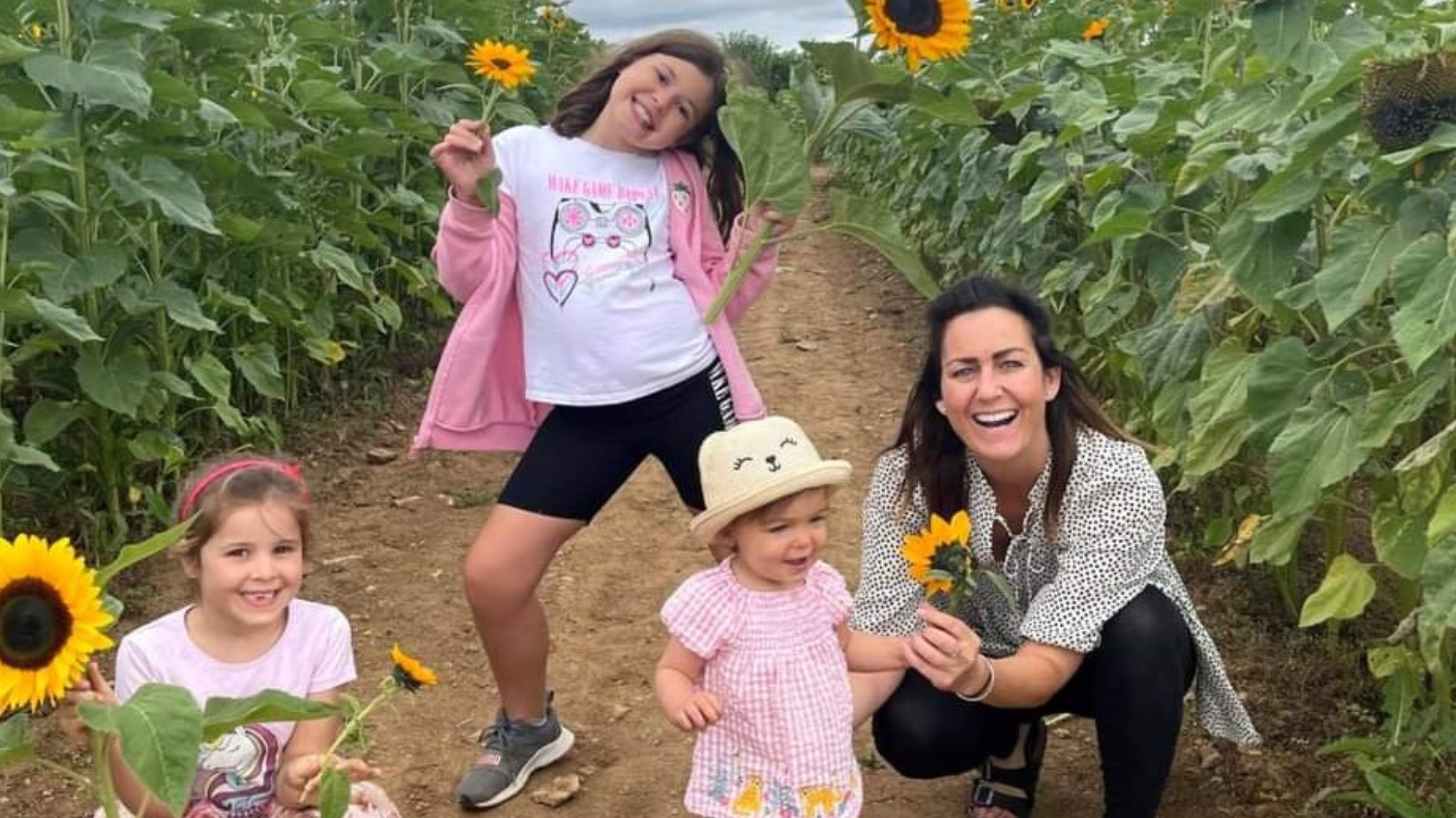 A local foster carer picking sunflowers