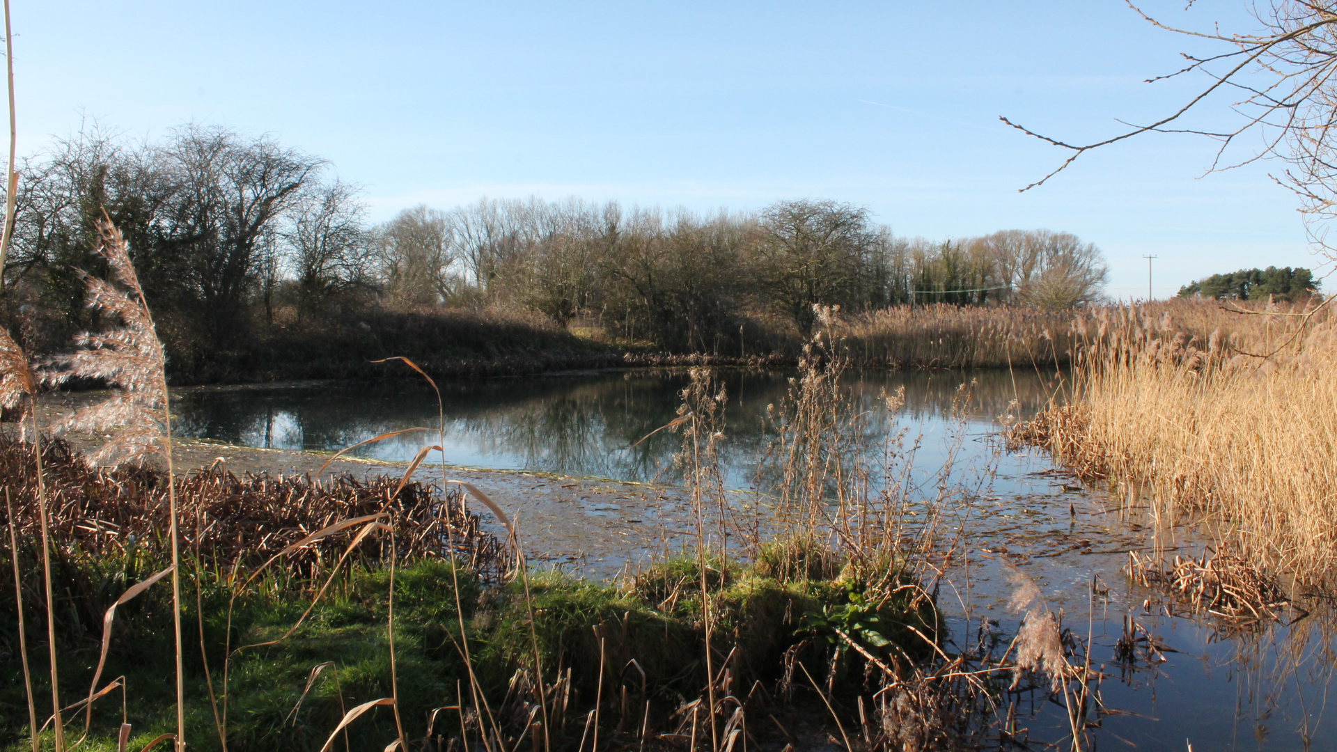 A view of one of Lincolnshire's chalk stream habitats