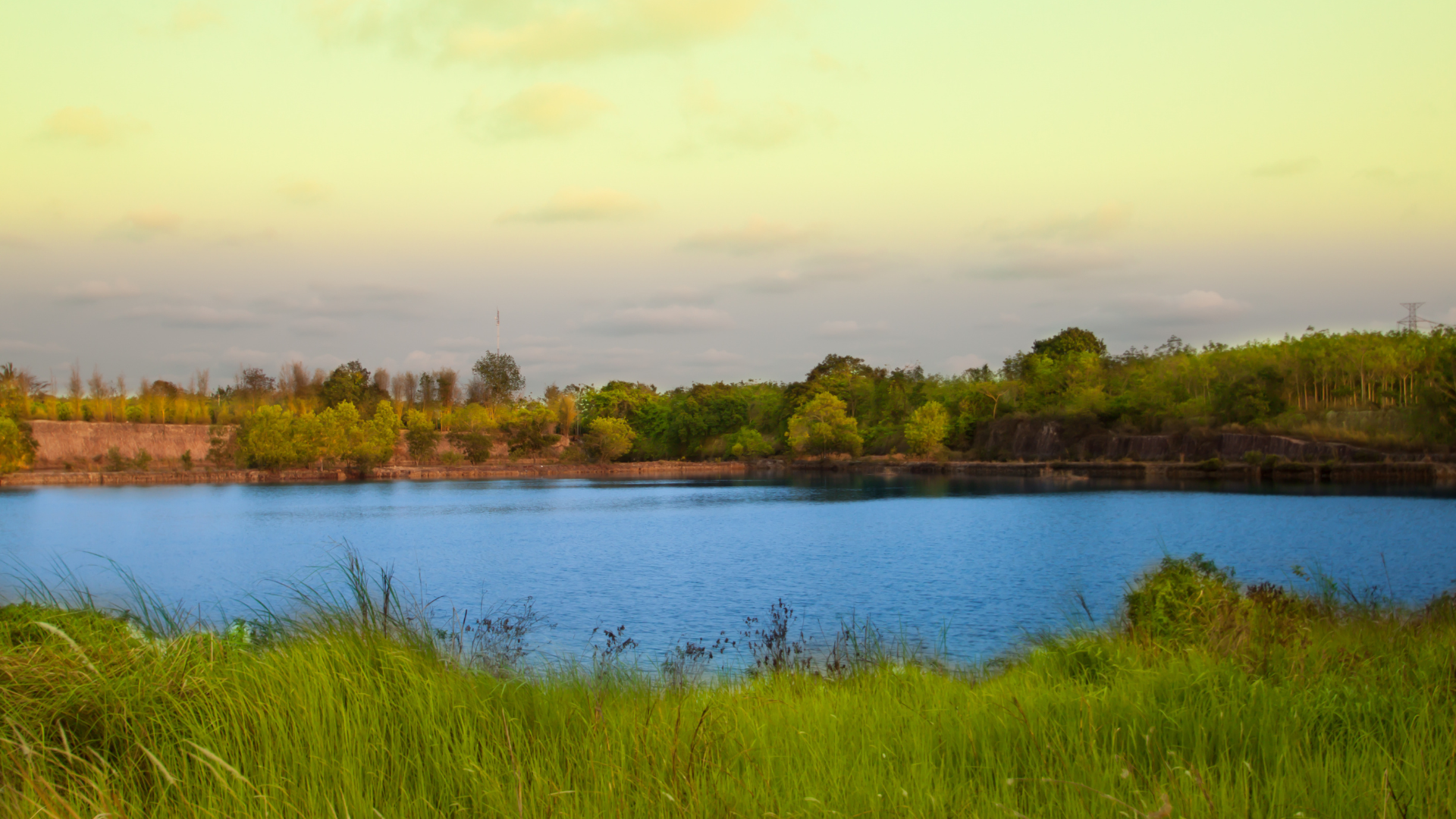 Grassland and trees surrounding a reservoir