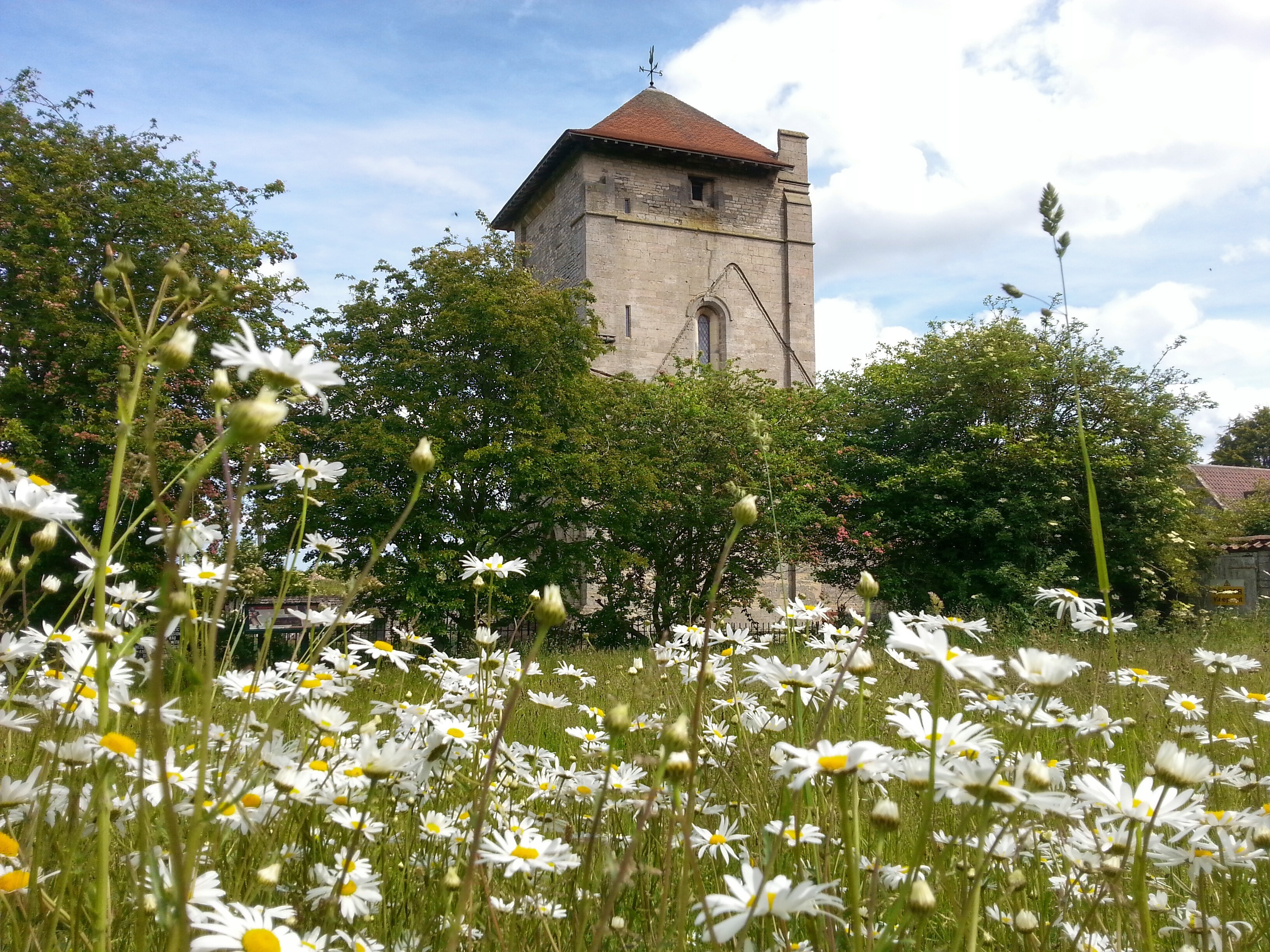 Temple Bruer tower surrounded by grass land of daises