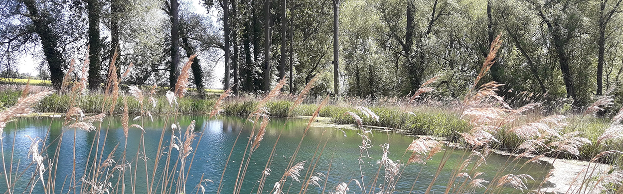 Image of Tetney blow wells