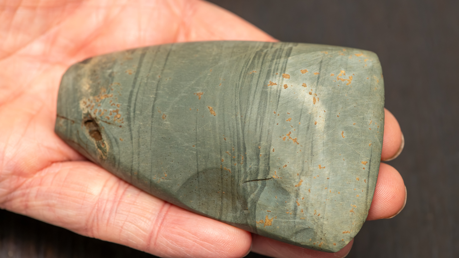 A beautifully polished Neolithic stone hand axe found at the site.