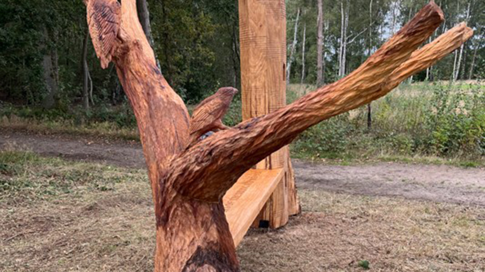 Viking, Way, bench, 50, Lincolnshire, walking
