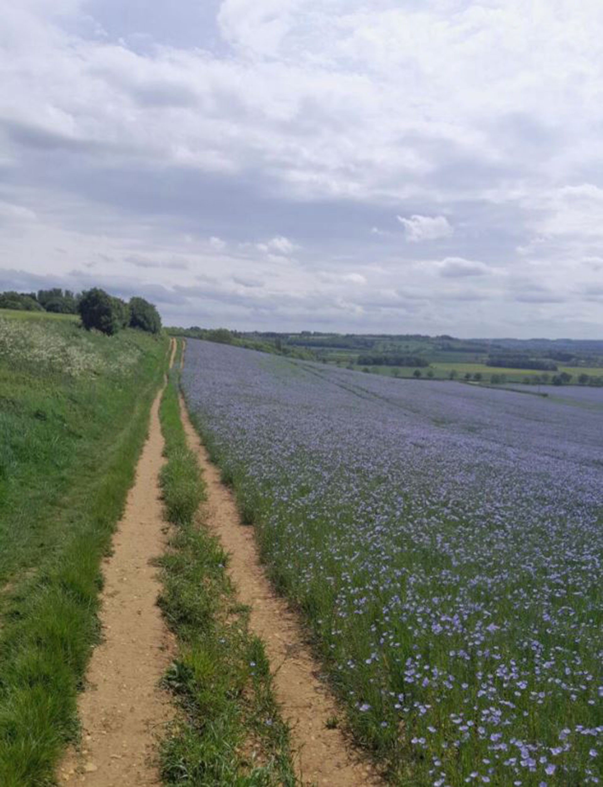 Viking Way walk