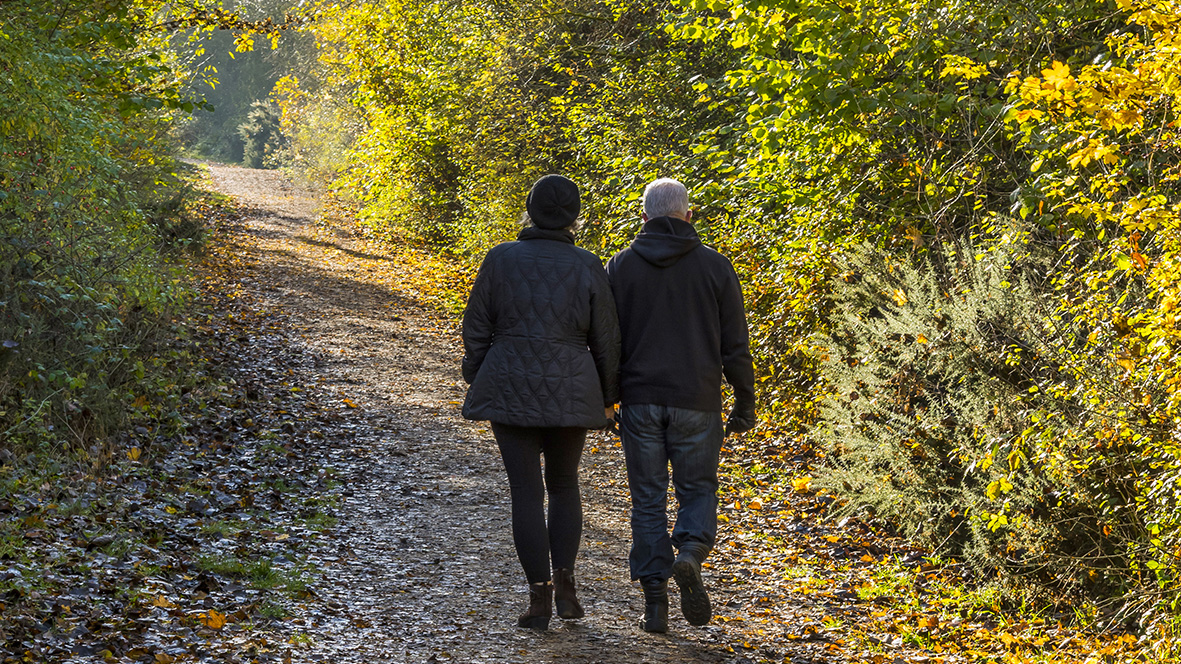 Two people taking a walk in a nature park
