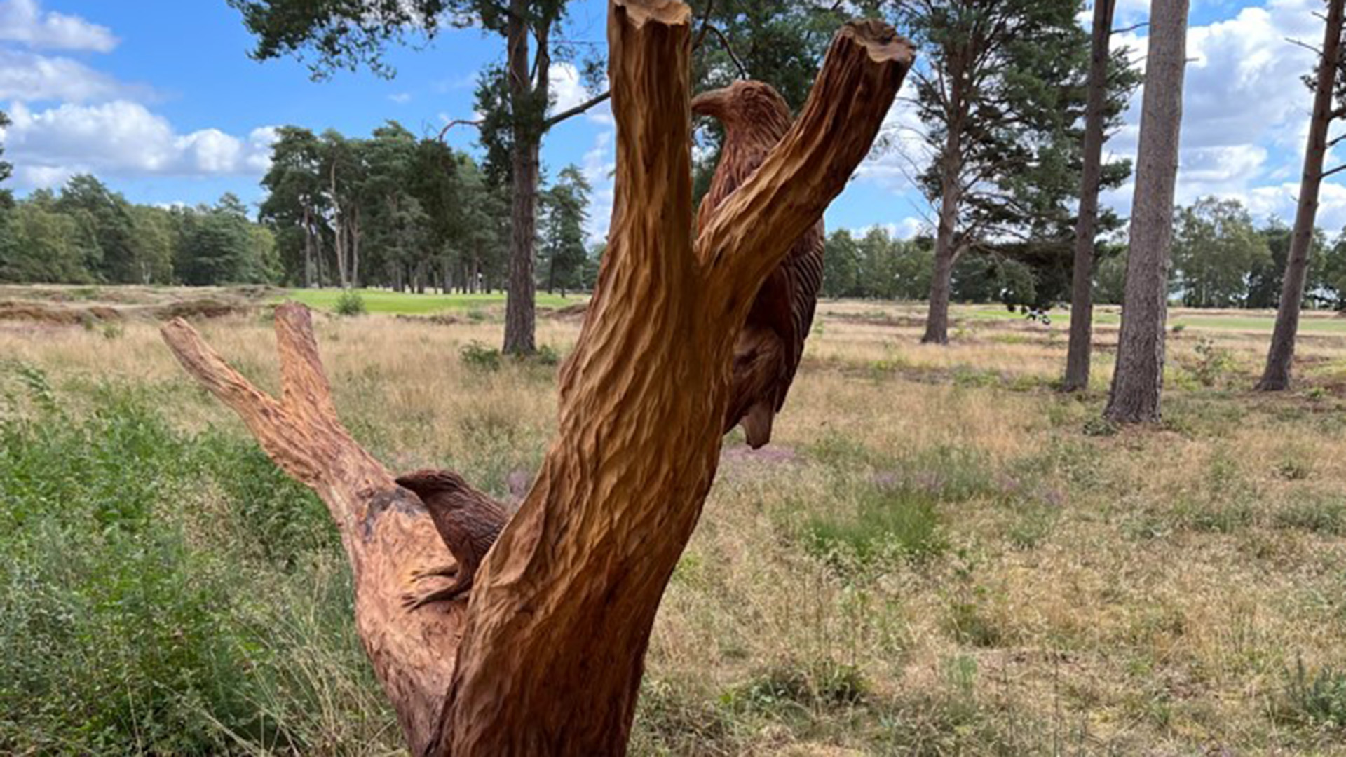 VW50, Beautiful, Brilliant, Bench, artwork, Viking Way, Woodhall Spa, Xtreme, Chainsaw, Simon Bogg
