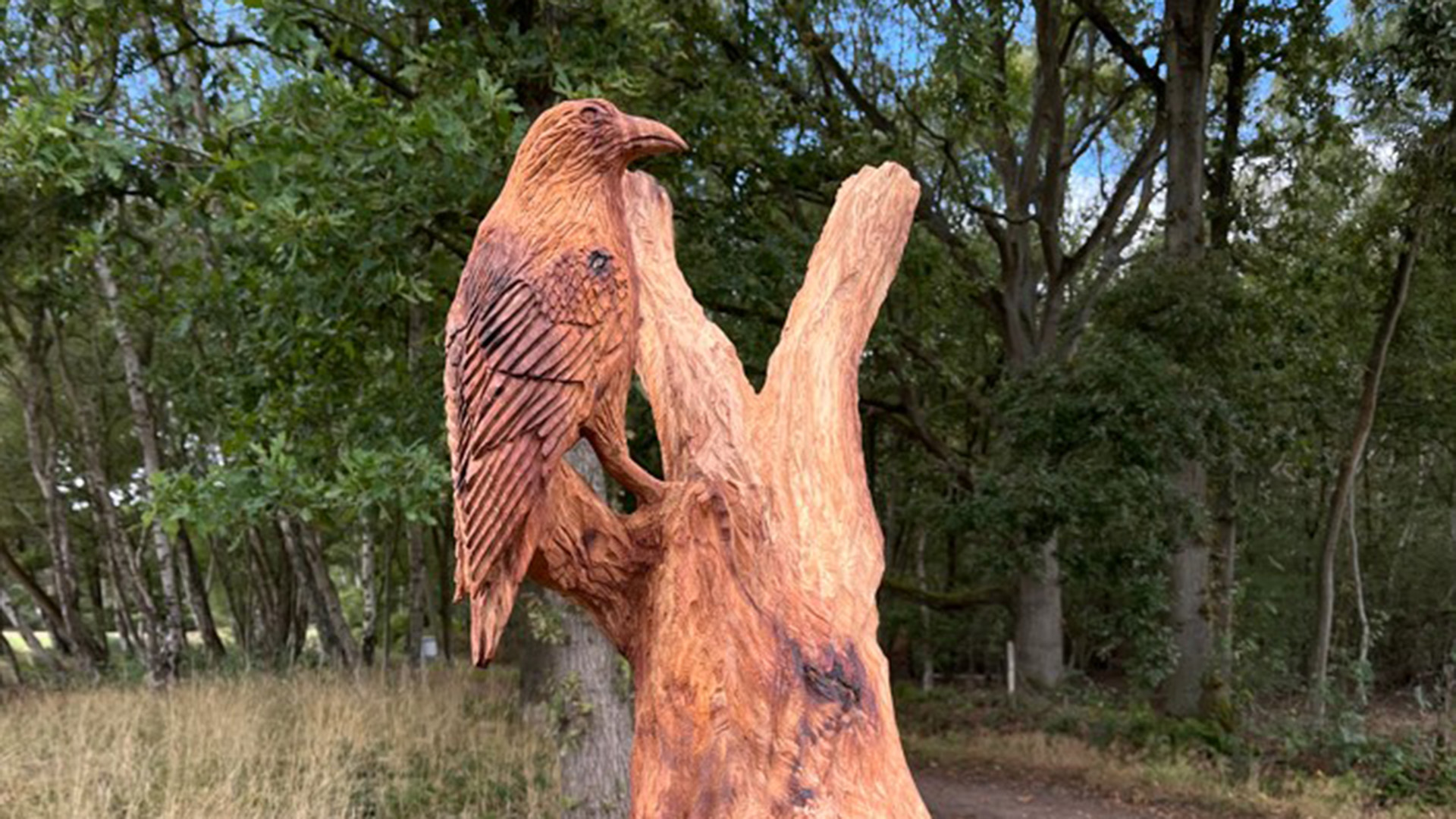 VW50, Beautiful, Brilliant, Bench, artwork, Viking Way, Woodhall Spa, Xtreme, Chainsaw, Simon Bogg
