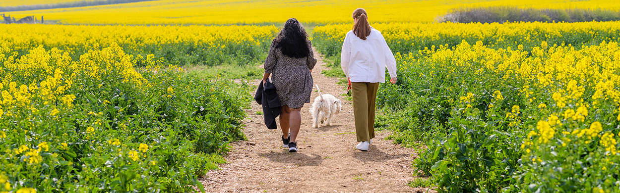 Image of the back view of two women with a dog walking