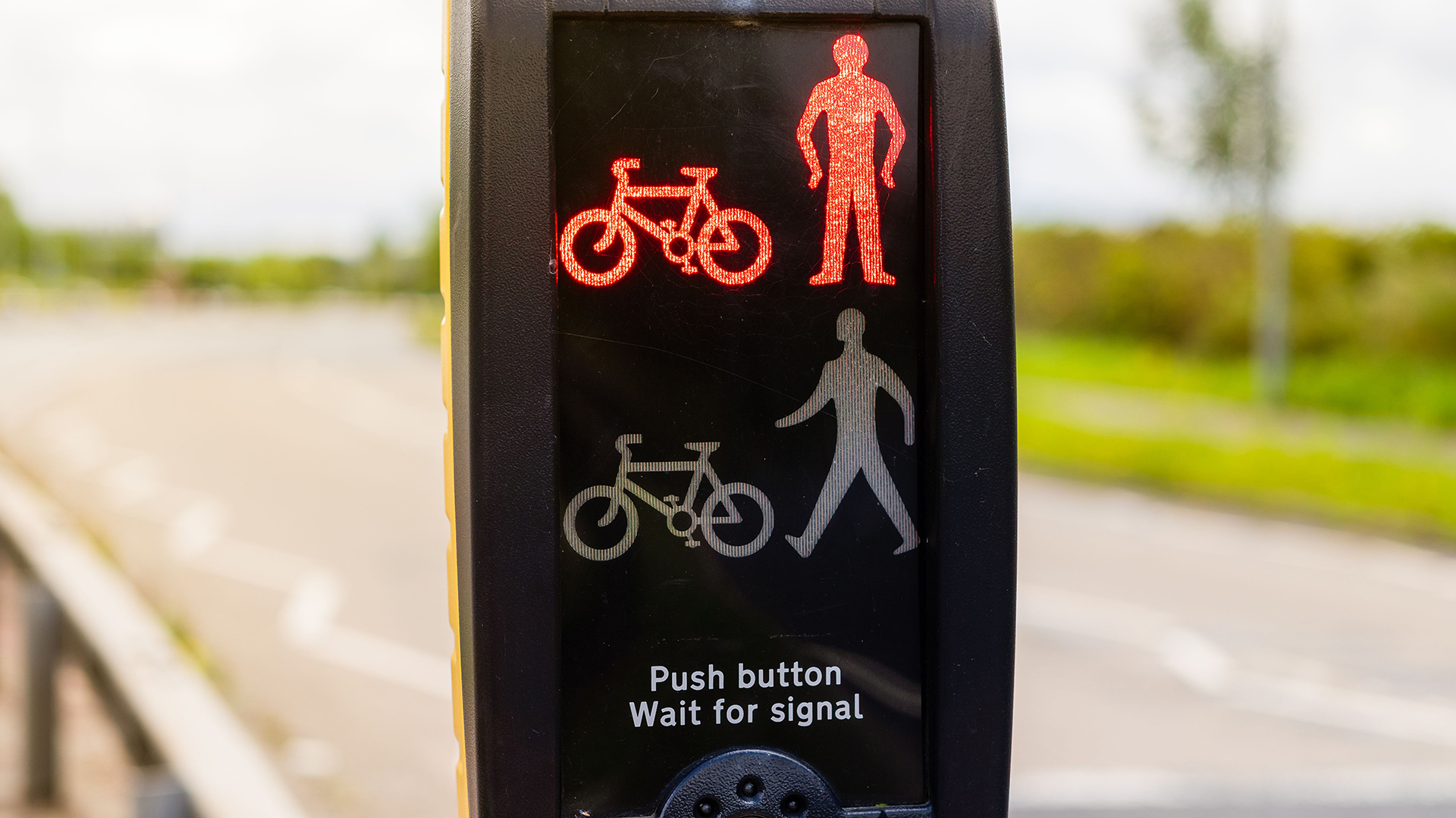 Image of a Toucan crossing