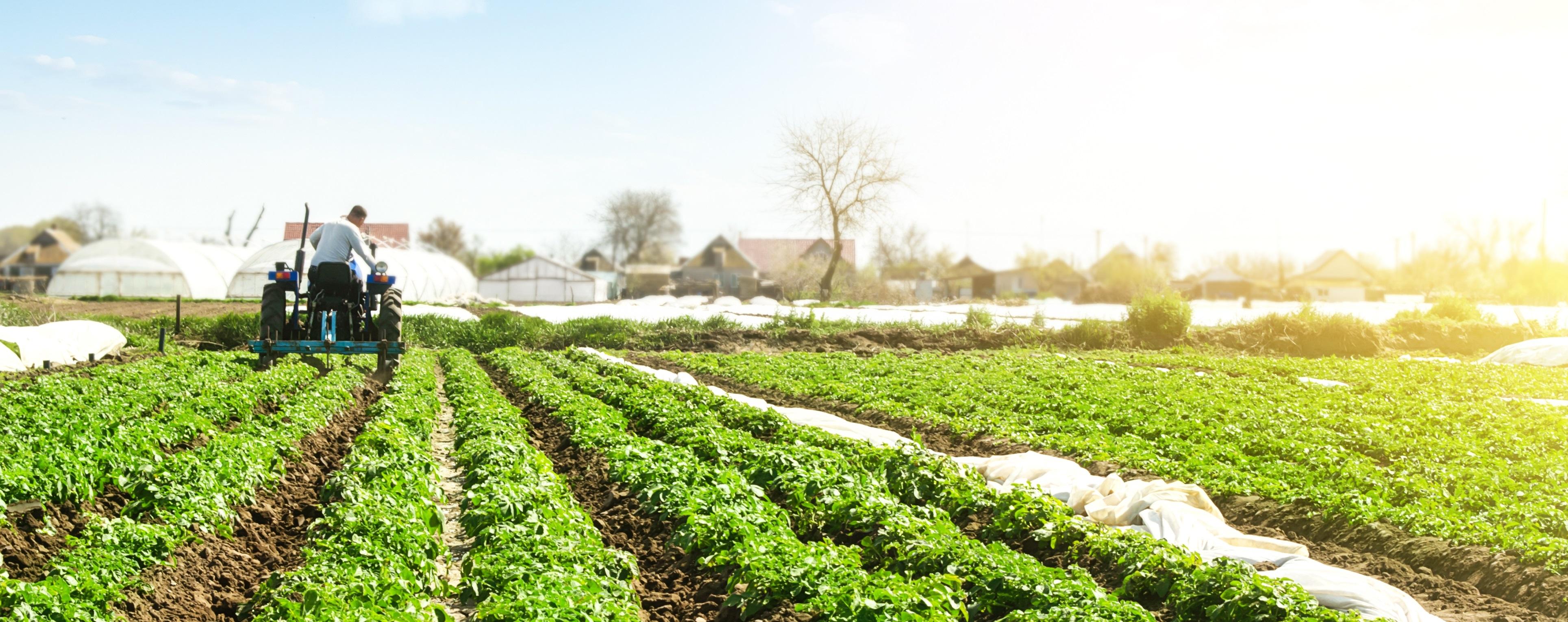 Tractor driving on farm field