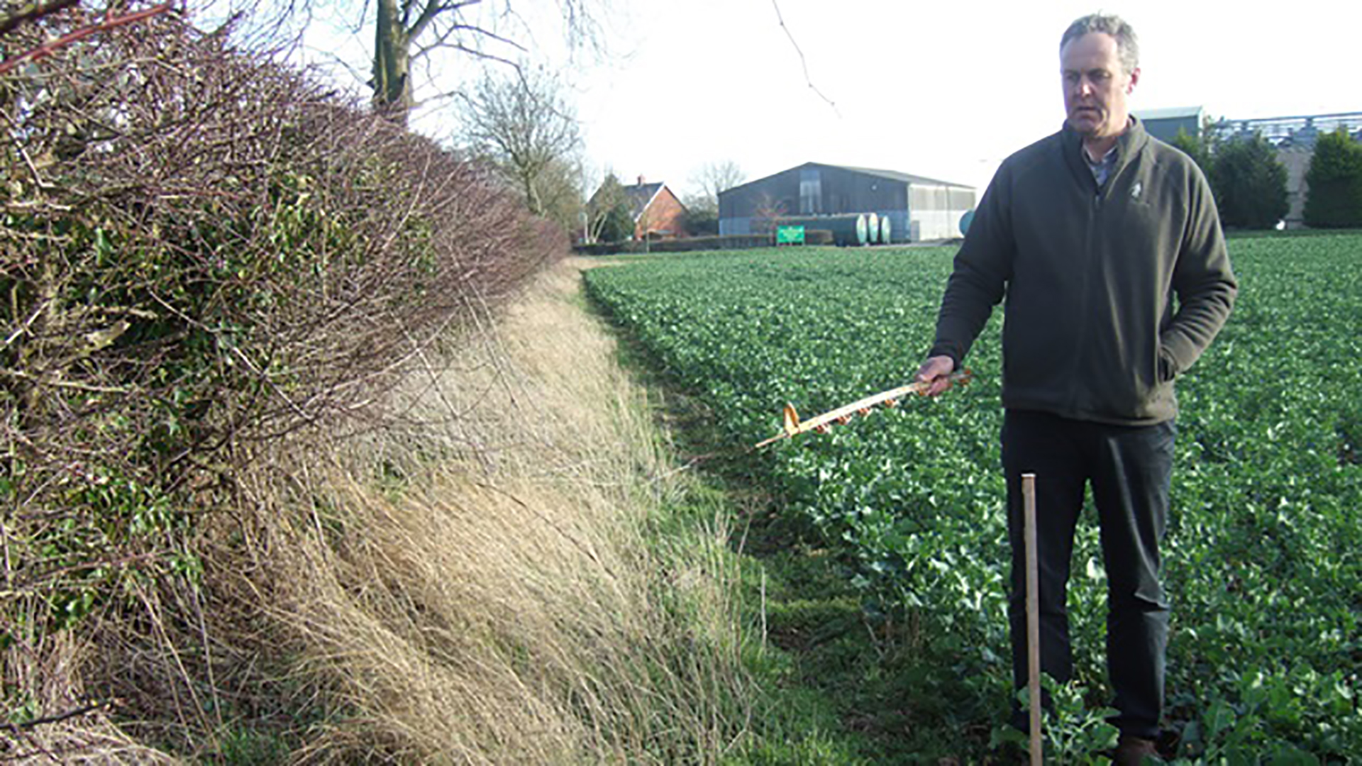 Image of a man measuring a field