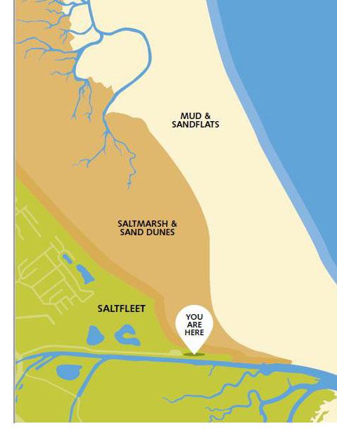 Saltfleet nature reserve location plan