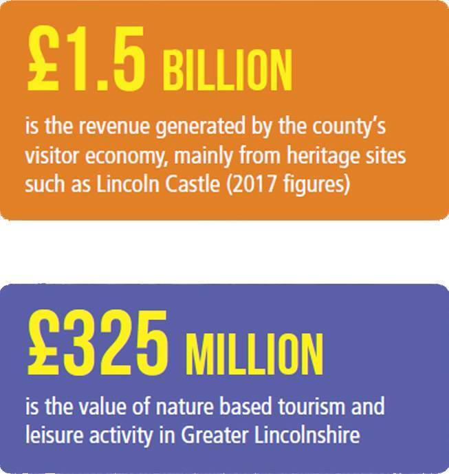 Graphic illustrating some of the key figures in relation to tourism in Lincolnshire